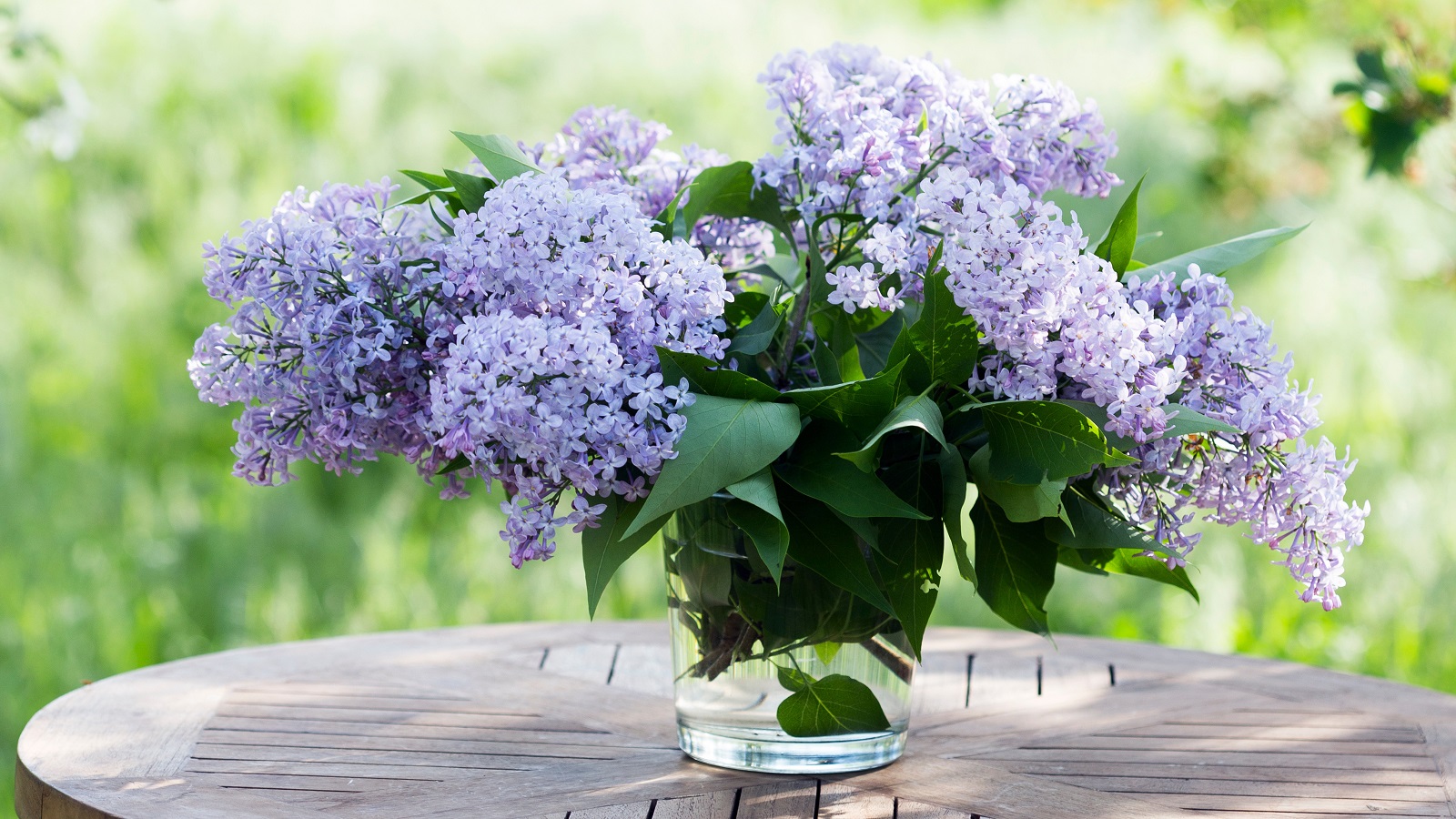 Magnifique bouquet printanier composé de branches de lilas